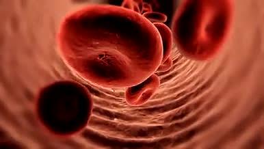 红细胞血小板血管医学教学通用素材视频的预览图